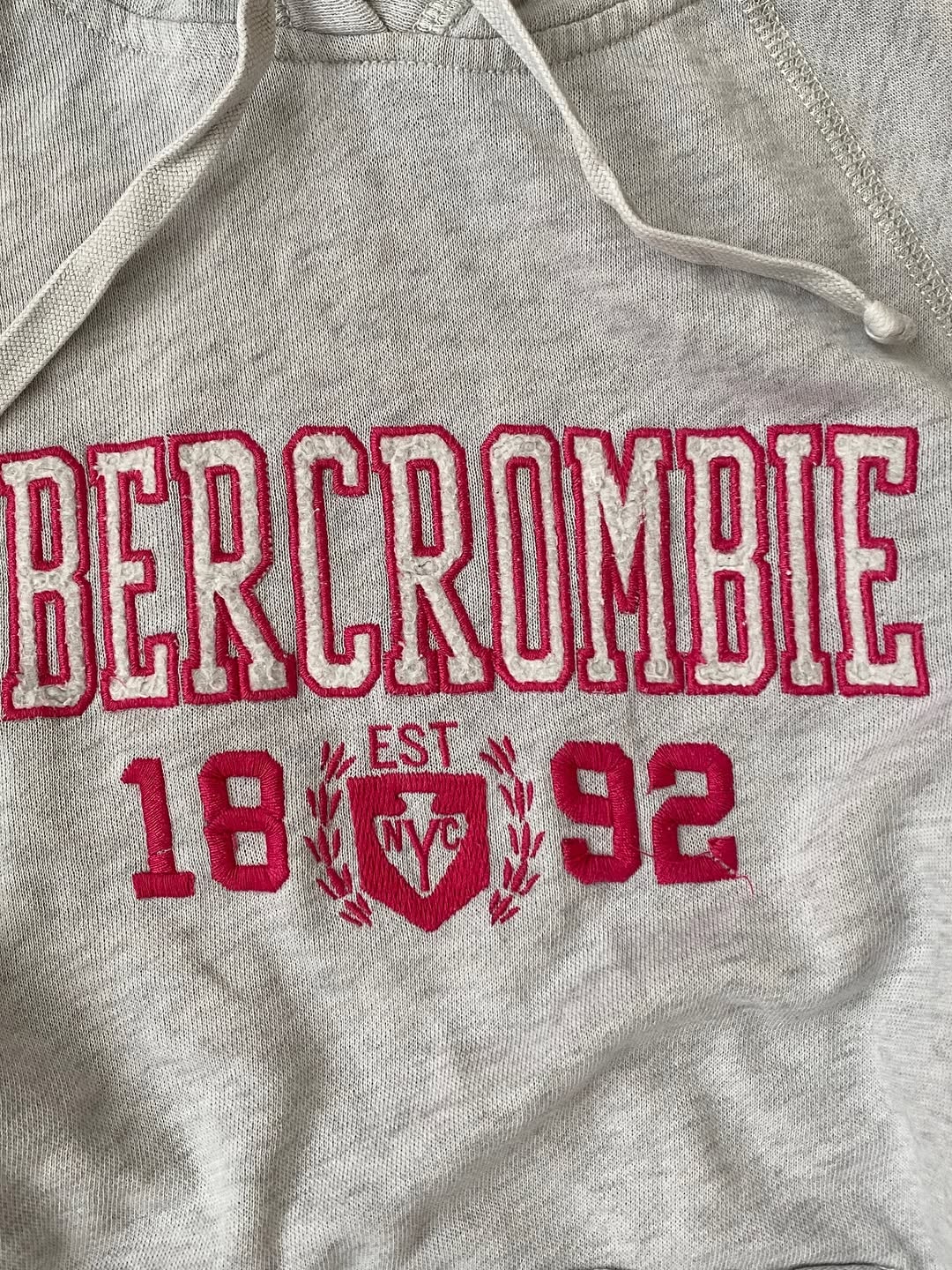 Abercrombie & Fitch Y2k Cotton Hoodie  ⚡️ — image 2