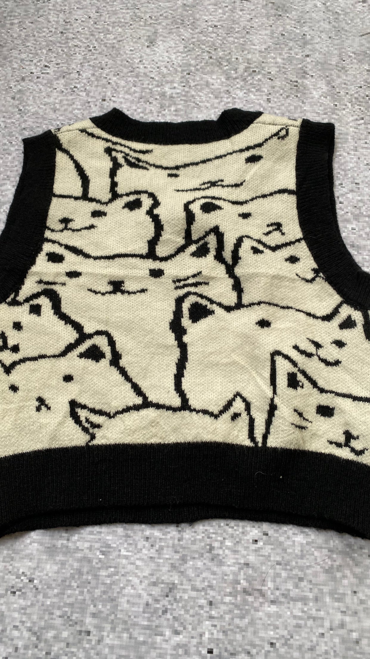 Cider Cat Sweater Vest
