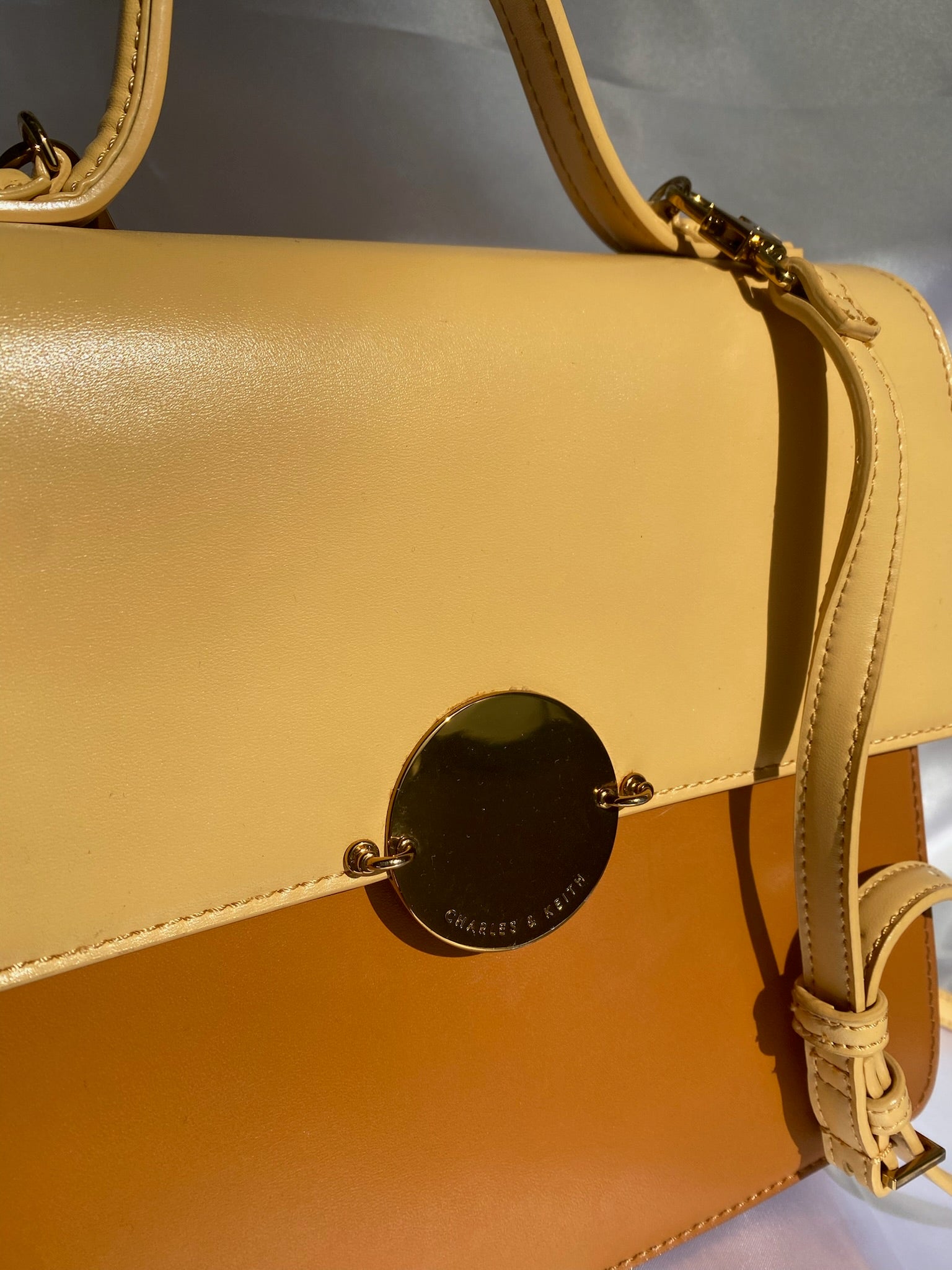 Charles & Keith Brown and Beige Bag